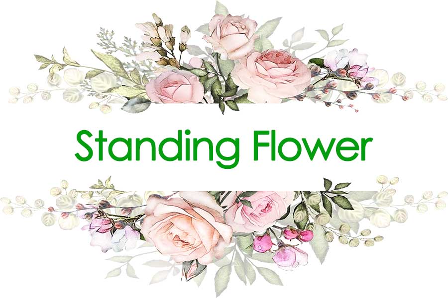 Standing Flower